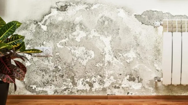 Cómo hacer un deshumidificador casero para evitar las manchas de humedad en paredes
