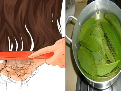 5 increíbles remedios con hojas de guayaba para el crecimiento y caída del cabello