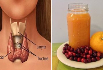 7 toxinas que destruyen la salud de la tiroides y la receta de una bebida para salvarla