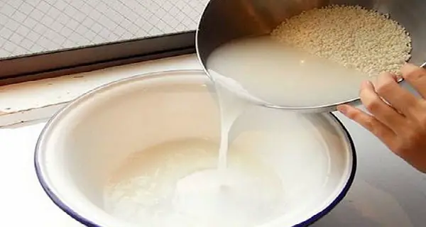 10 razones por las que no debes volver a tirar el agua de arroz