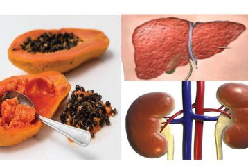 ¿Cómo desintoxicar su hígado y riñón? ¡Aquí está la receta con semillas de papaya!