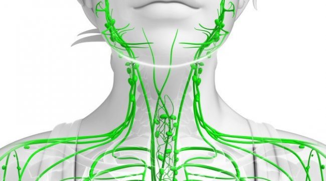 Signos de un sistema linfático obstruido y 10 formas de limpiarlo