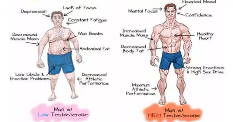 5 formas naturales de corregir los niveles bajos de testosterona para aumentar la libido y la pérdida de peso