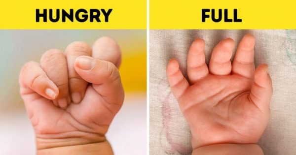 18 señales que te ayudarán a entender a tu bebé antes de que pueda hablar