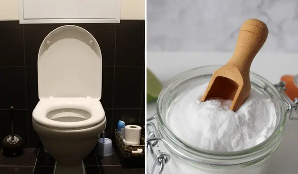 The Toilet Always Smells Fresh And Stays Clean – All You Need Is This