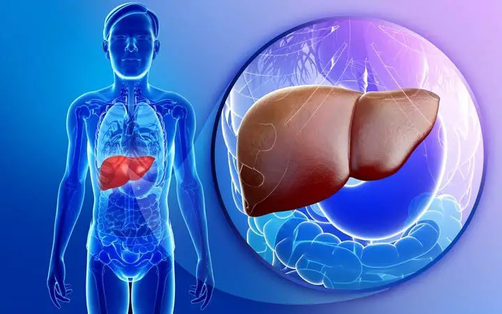 6 Signs That Your Liver Is Full Of Toxins
